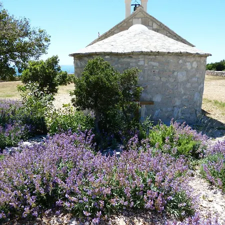 アパート Meic ピロヴァッツ