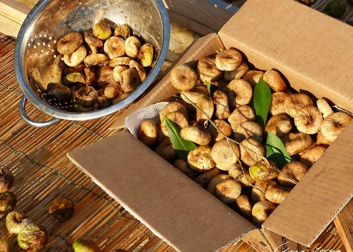 Meic アパート ピロヴァッツ